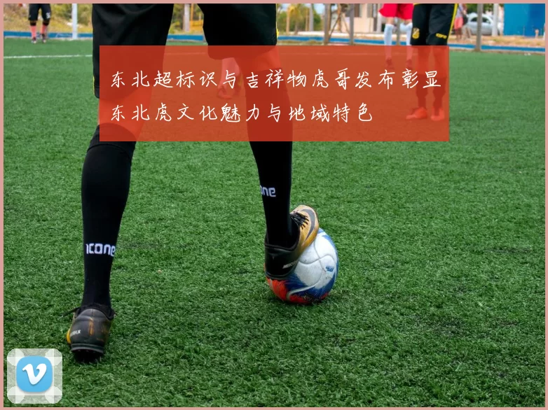 东北超标识与吉祥物虎哥发布彰显东北虎文化魅力与地域特色